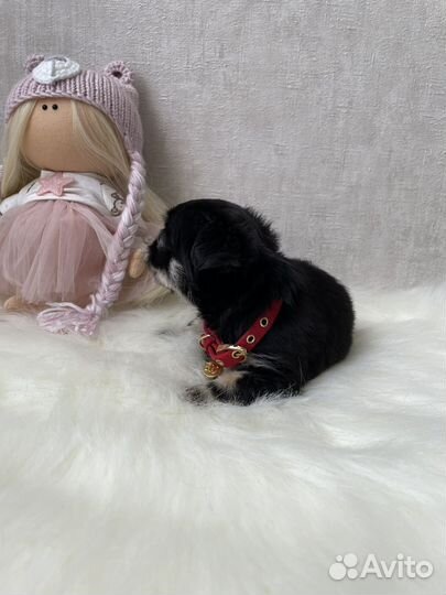 Невероятно красивая пуговка Миничка