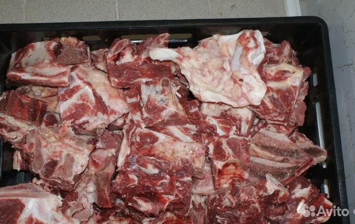 Мясо и кости для собак