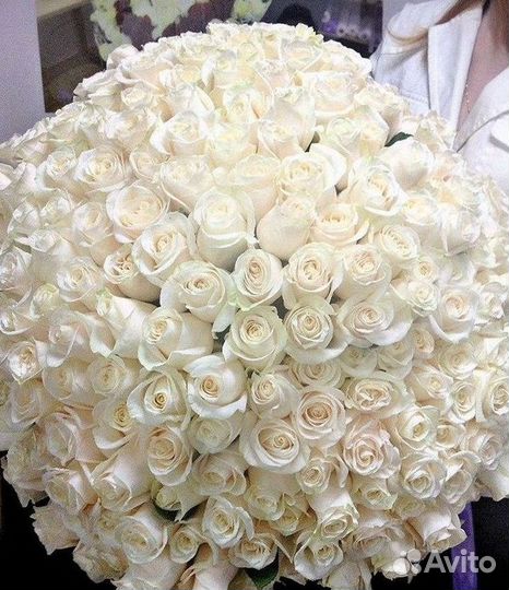 Высокие Розы с Доставкой