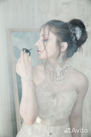 Аренда змей, ящериц, пауков, скорпионов, насекомых