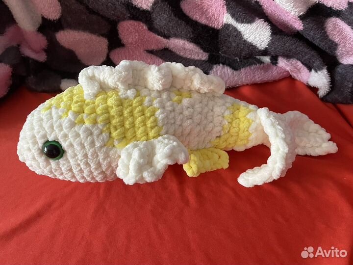 Рыбка карп Кои