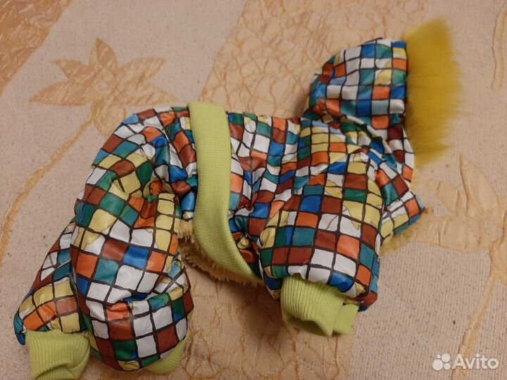 Одежда для собак