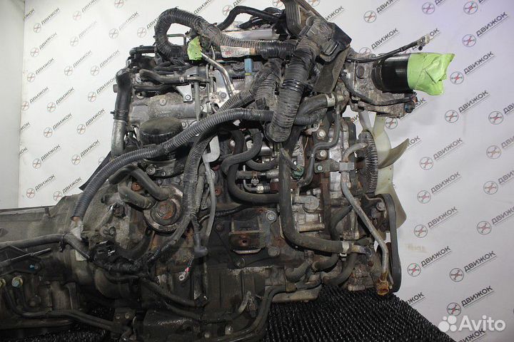 Двигатель nissan YD25DDTi, 2500 куб.см Контрактная