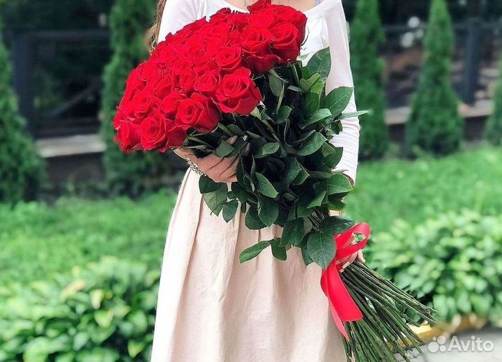 101 роза цветы букеты доставка 25 51 101 роза