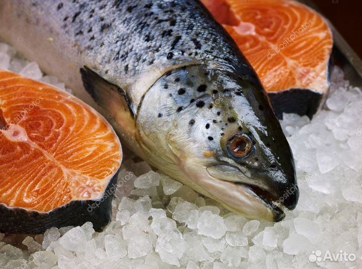 Готовый бизнес с доходом – рыбный магазин