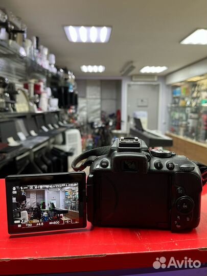 Зеркальный фотоаппарат Nikon D5300