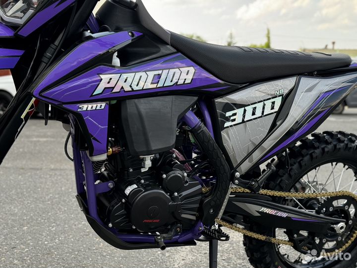 Procida K16 NB300 purple