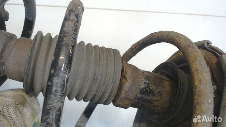 Амортизатор подвески Toyota RAV 4, 2005