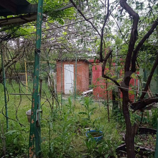 Участок 6 сот. (ИЖС)