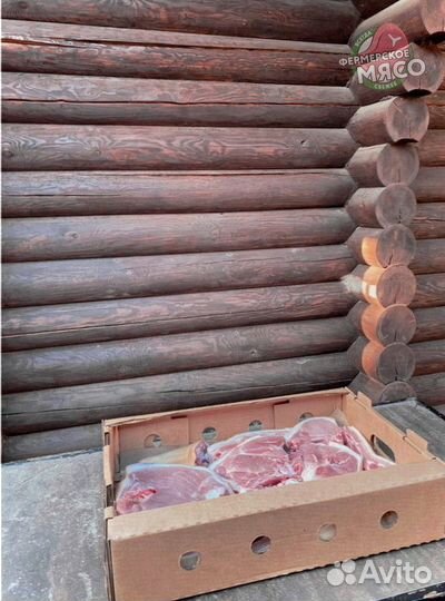 Мясо свинина