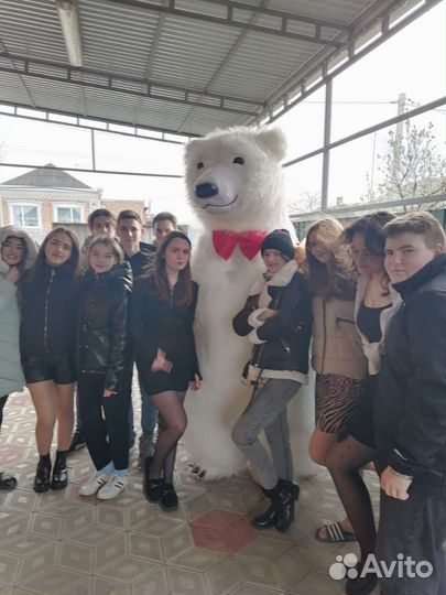 Праздники мероприятия белого медведя