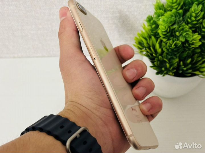 iPhone 8 Plus, 64 ГБ