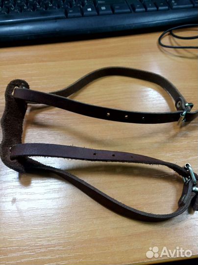 Шлейка для выгула собаки маленькой породы