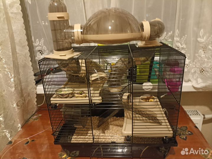 Мышь с клеткой и нужностями