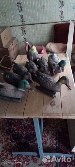 Утки, пластмассовые для охоты