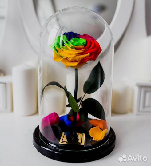 Роза в колбе