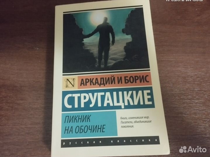 Пикник у обочины