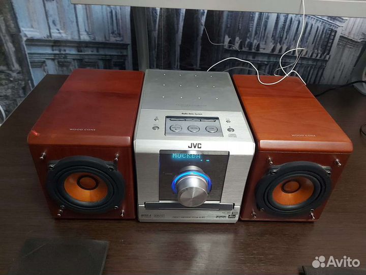 JVC EX D11 wood cone