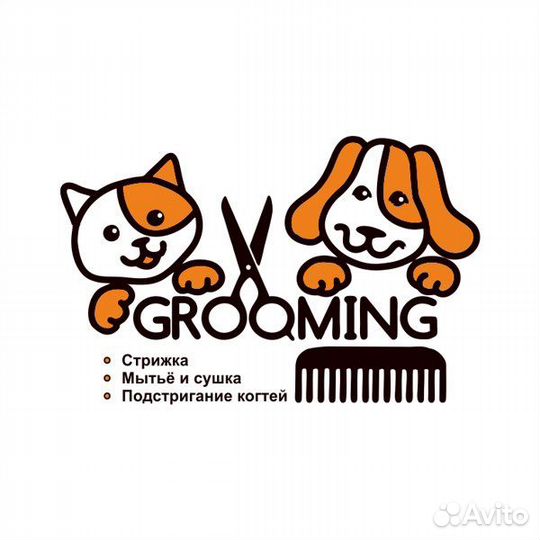 Услуги грумера