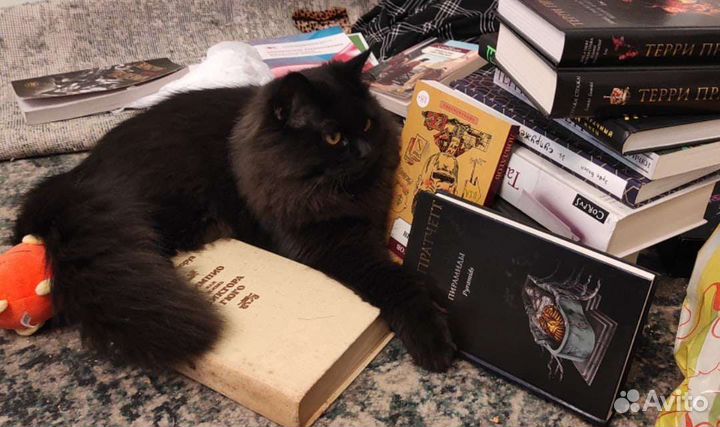 Книги/комиксы