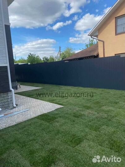 Рулонный газон /продажа/укладка