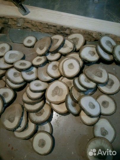 Спилы разных пород дерева