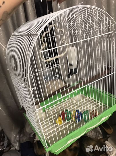 Клетка для птиц