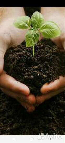 Чернозем. Земля. Плодородный грунт