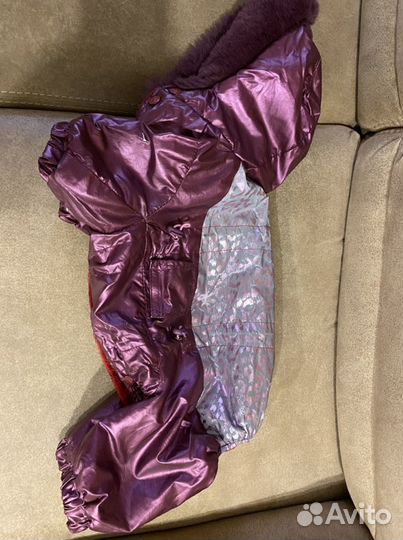 Одежда для собак