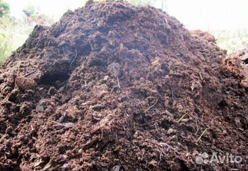 Навоз коровий