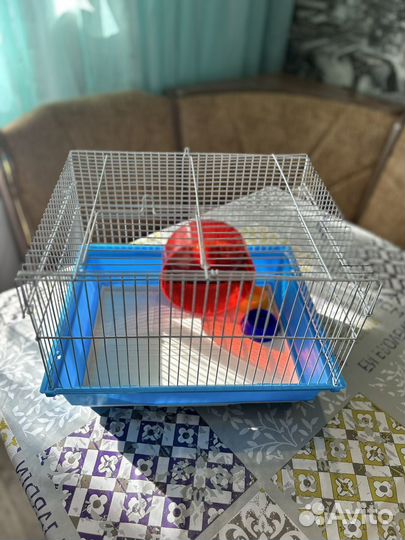 Клетка для хомяка бу