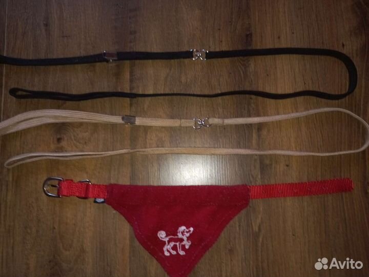 Амуниция для собак весом 1-15 кг кто занимается