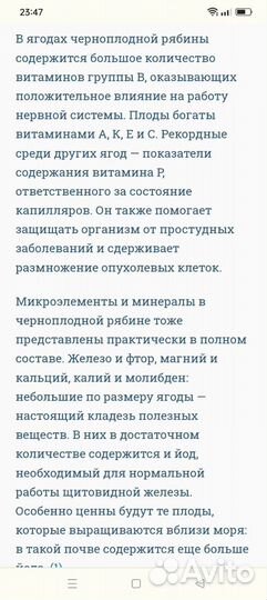 Черноплодная рябина ягоды