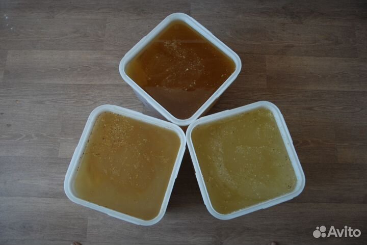 Мед. Алтай 2023. Настоящий Май и настоящая Акация