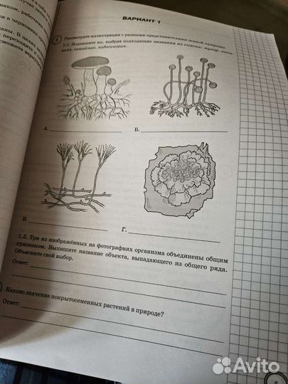Впр 7 класс биология