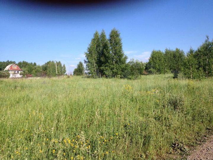 Участок 60 сот. (СНТ, ДНП)