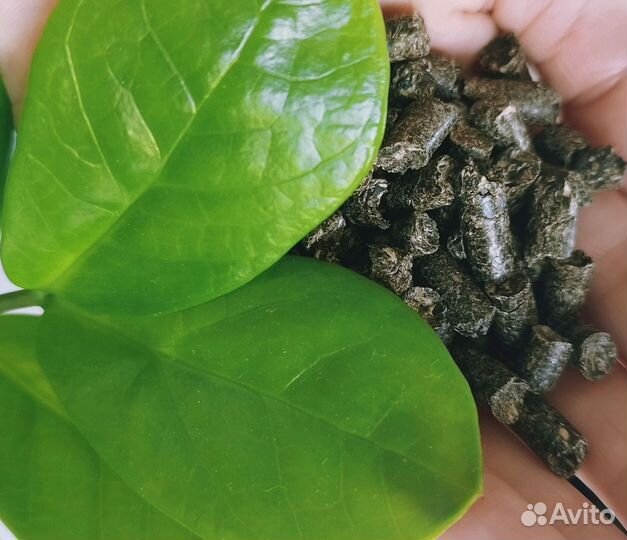 Пеллеты из лузги подсолнечника