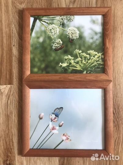 Рамка с фотографией живой природы