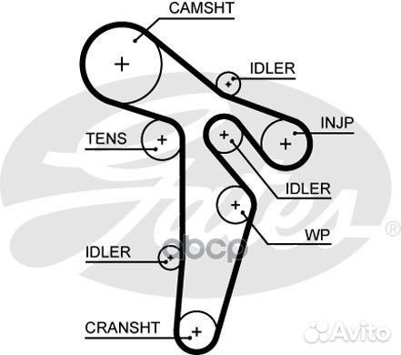 Зубчатые ремни привода грм powergrip 5649XS Gates