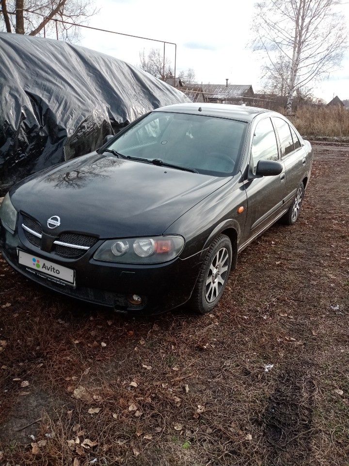 Nissan Almera: фото владельца