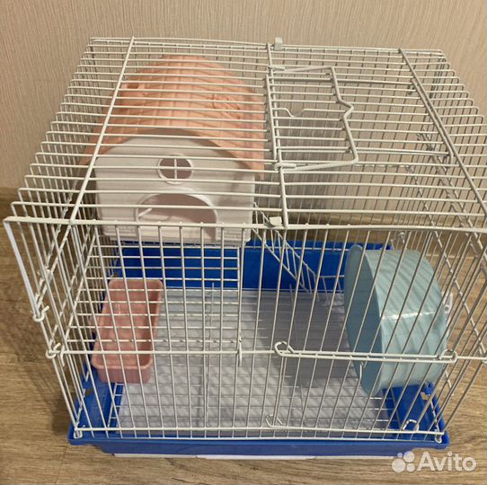 Новые клетки для хомячков, крысят, дегу