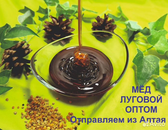 Натуральный мед 2023 года (опт)