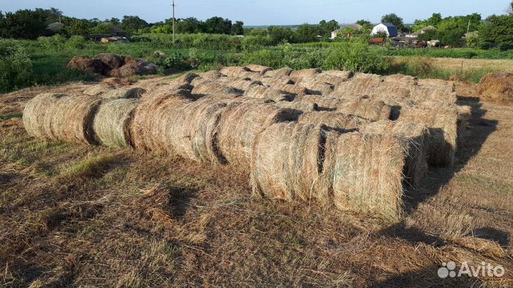 Сено в рулонах 2023