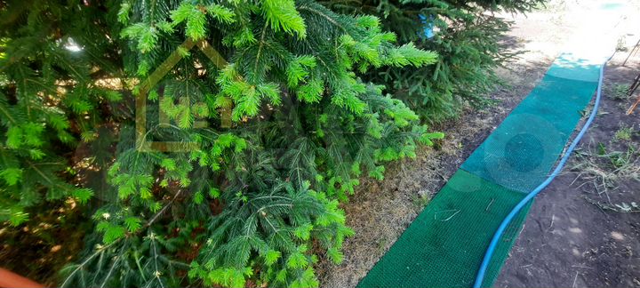 Дом 100 м² на участке 12 сот.