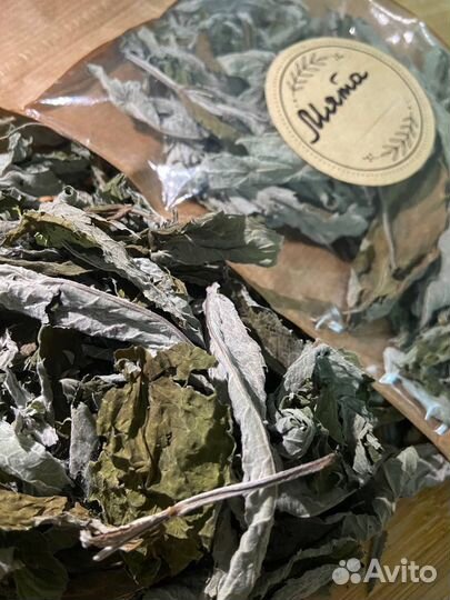 Листья мяты