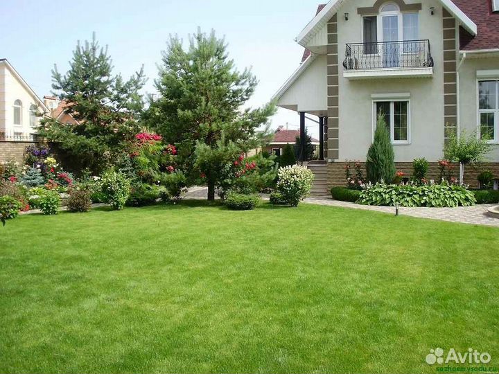 Рулонный газон эконом