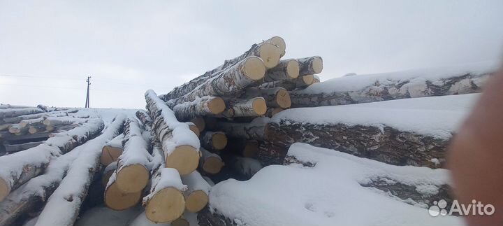 Продам дрова колотые