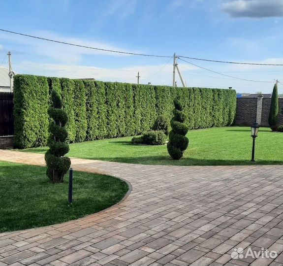 Рулонный газон по Москве и области