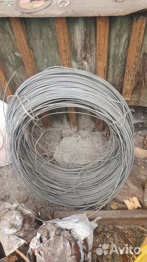 Здравствуйте продам лист пророка цена договоримся