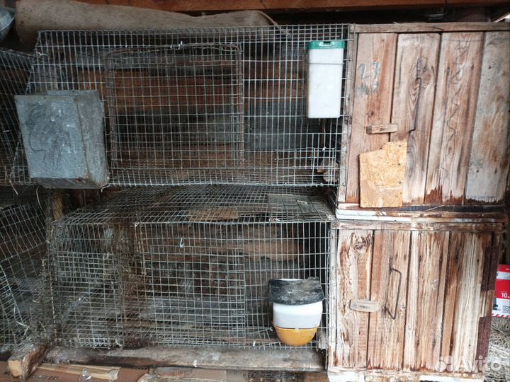 Клетка для кролика